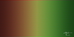 Strata 49d 2x1
